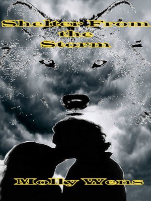 cover image of Shelter from the Storm